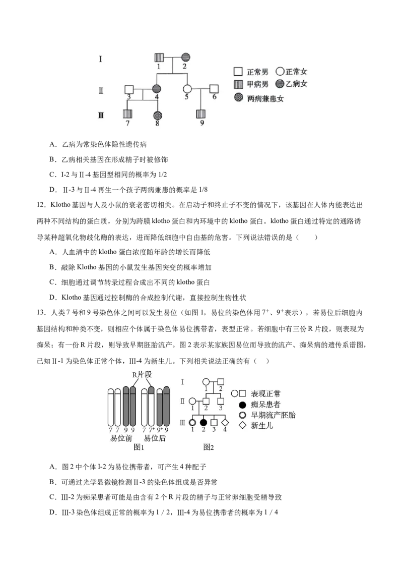 押新高考卷遗传与进化（原卷版）-备战2024年高考生物临考题号押题（新高考通用）_2024年新高考资料_5.2024三轮冲刺_备战2024年高考生物临考题号押题（新高考通用）322745222