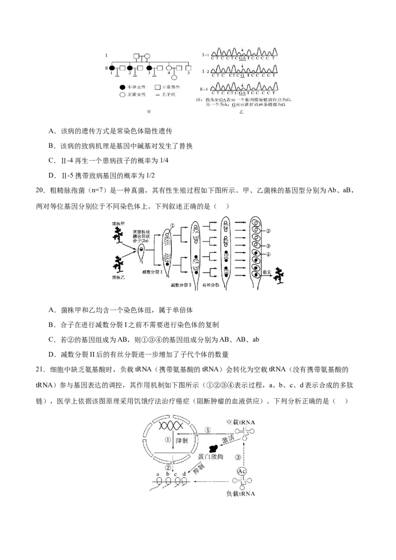 押新高考卷遗传与进化（原卷版）-备战2024年高考生物临考题号押题（新高考通用）_2024年新高考资料_5.2024三轮冲刺_备战2024年高考生物临考题号押题（新高考通用）322745222