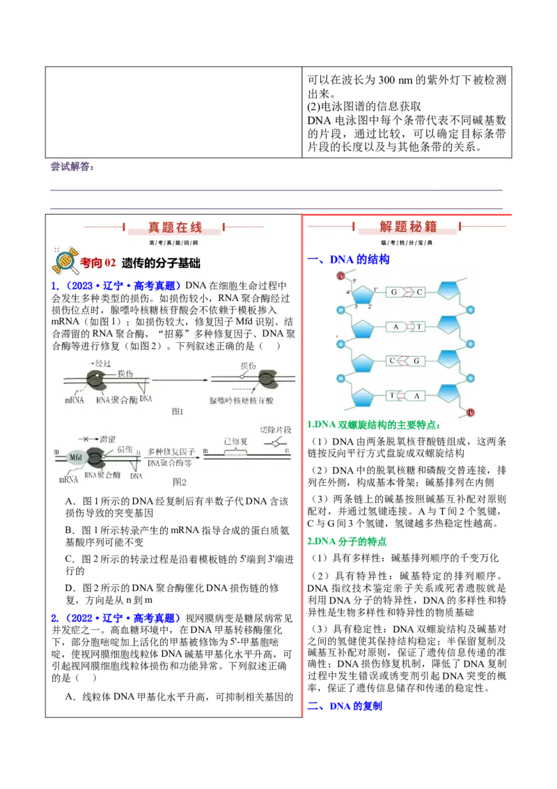 押新高考卷遗传与进化（原卷版）-备战2024年高考生物临考题号押题（新高考通用）_2024年新高考资料_5.2024三轮冲刺_备战2024年高考生物临考题号押题（新高考通用）322745222