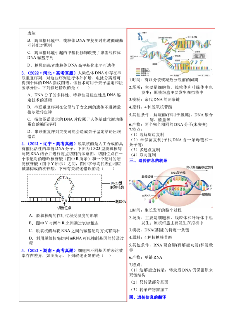押新高考卷遗传与进化（原卷版）-备战2024年高考生物临考题号押题（新高考通用）_2024年新高考资料_5.2024三轮冲刺_备战2024年高考生物临考题号押题（新高考通用）322745222