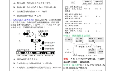 押新高考卷遗传与进化（原卷版）-备战2024年高考生物临考题号押题（新高考通用）_2024年新高考资料_5.2024三轮冲刺_备战2024年高考生物临考题号押题（新高考通用）322745222