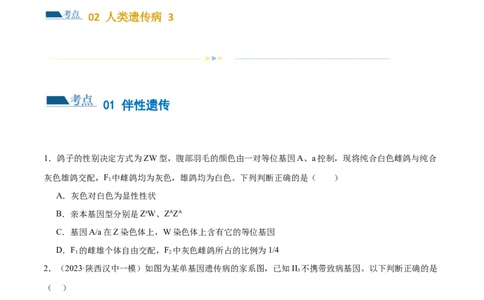 第08讲伴性遗传和人类遗传病（练习）（原卷版）_2024年新高考资料_2.2024二轮复习_2024年高考生物二轮复习讲练测（新教材新高考）