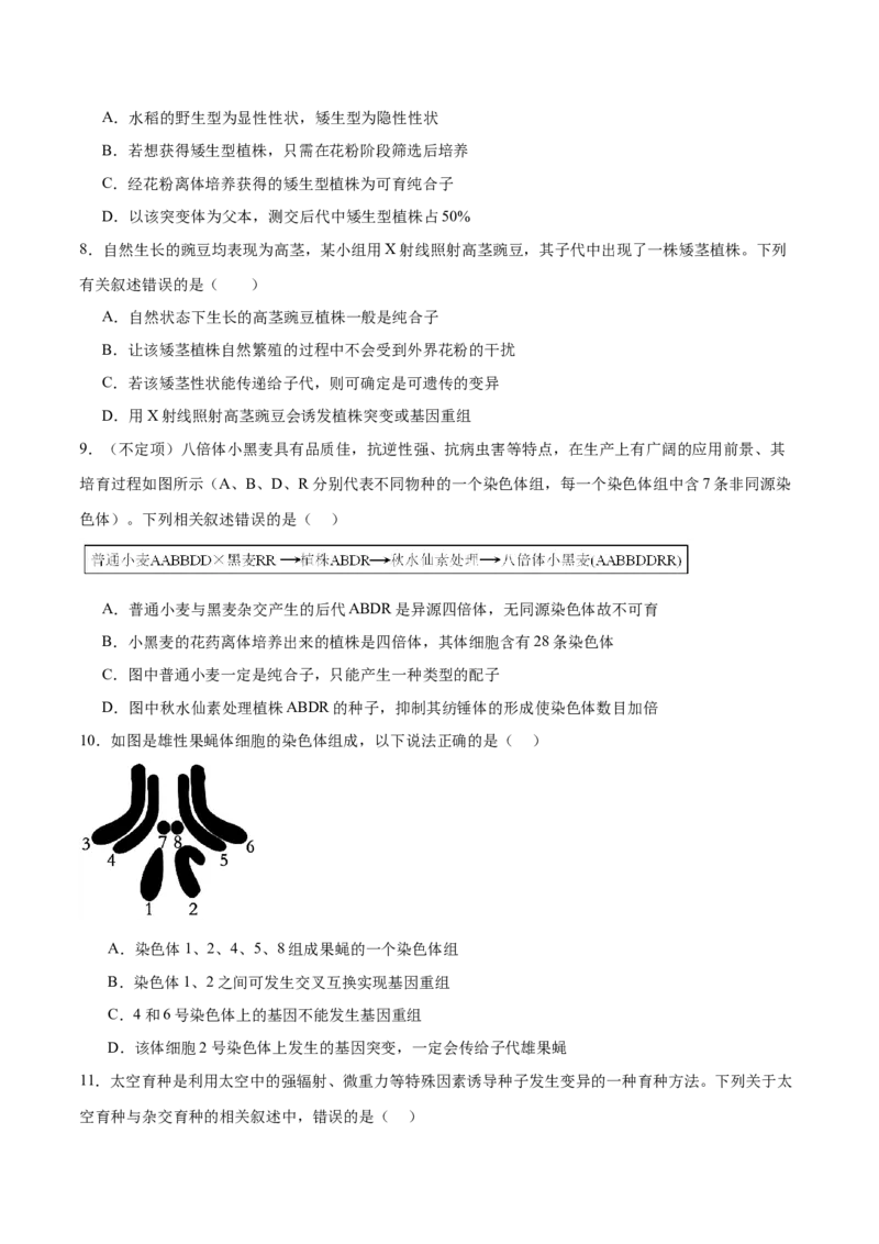 第10讲生物的变异和进化（练习）（原卷版）_2024年新高考资料_2.2024二轮复习_2024年高考生物二轮复习讲练测（新教材新高考）