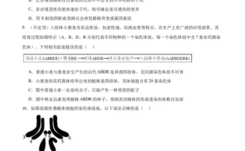 第10讲生物的变异和进化（练习）（原卷版）_2024年新高考资料_2.2024二轮复习_2024年高考生物二轮复习讲练测（新教材新高考）