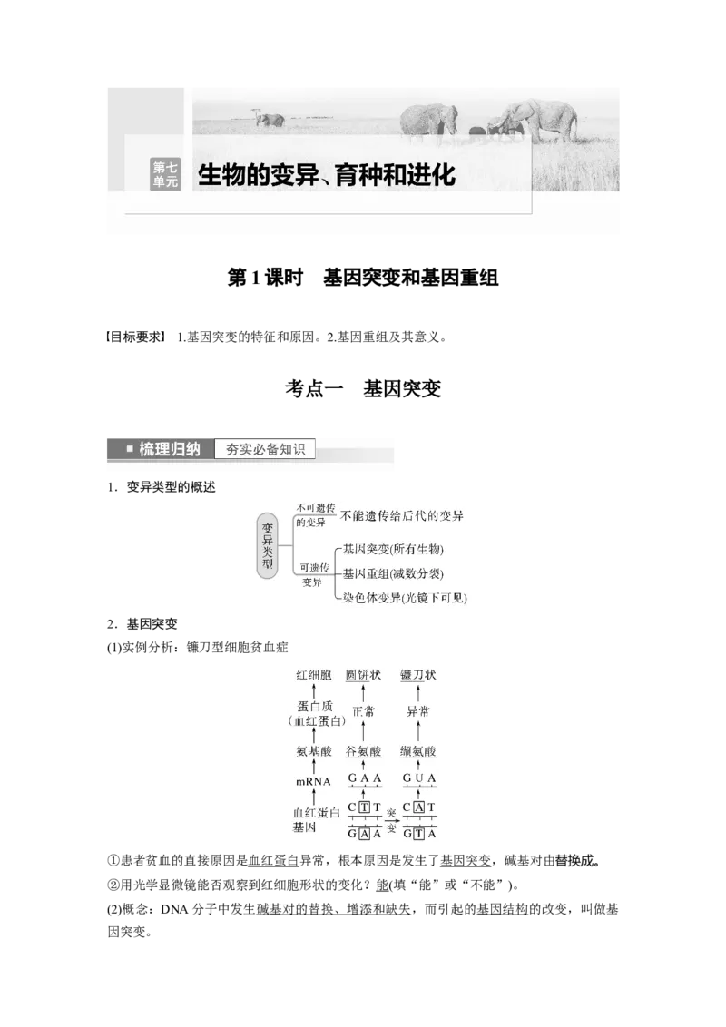 2023年高考生物一轮复习（全国版）第7单元第1课时　基因突变和基因重组_通用版（老高考）复习资料_2023年复习资料_一轮复习_2023年高考生物一轮复习讲义+课件（全国版）