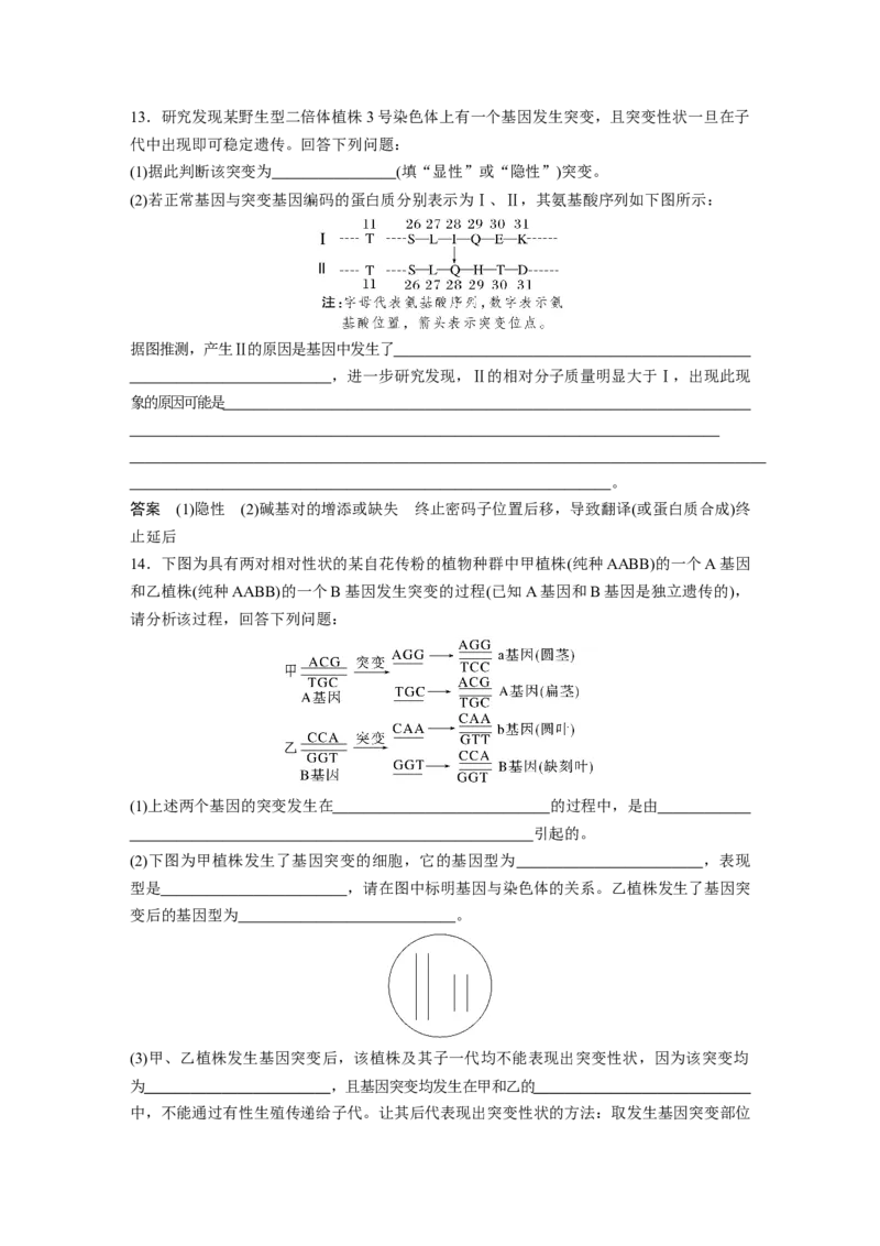 2023年高考生物一轮复习（全国版）第7单元第1课时　基因突变和基因重组_通用版（老高考）复习资料_2023年复习资料_一轮复习_2023年高考生物一轮复习讲义+课件（全国版）