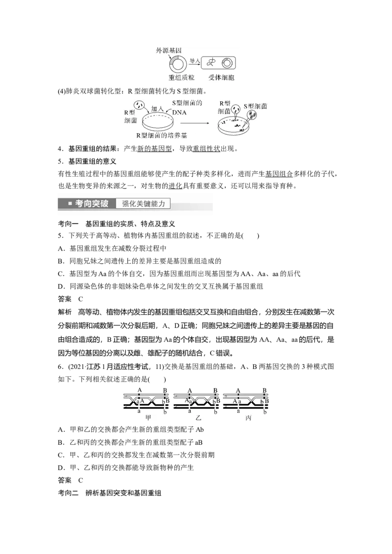 2023年高考生物一轮复习（全国版）第7单元第1课时　基因突变和基因重组_通用版（老高考）复习资料_2023年复习资料_一轮复习_2023年高考生物一轮复习讲义+课件（全国版）