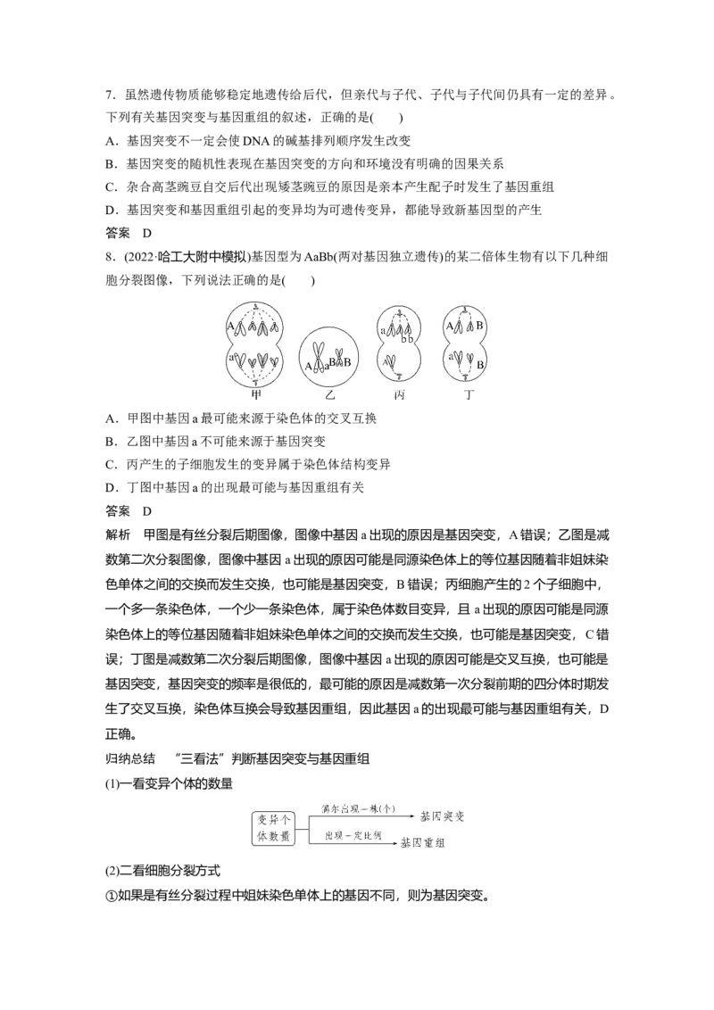 2023年高考生物一轮复习（全国版）第7单元第1课时　基因突变和基因重组_通用版（老高考）复习资料_2023年复习资料_一轮复习_2023年高考生物一轮复习讲义+课件（全国版）