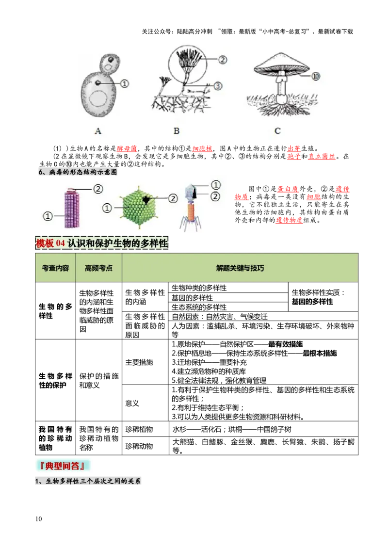 专题07生物的多样性（5大答题模板）（原卷版）_02中考总复习（2026版更新中）_08-生物-中考总复习_2025中考复习资料_2025年中考生物答题方法模板