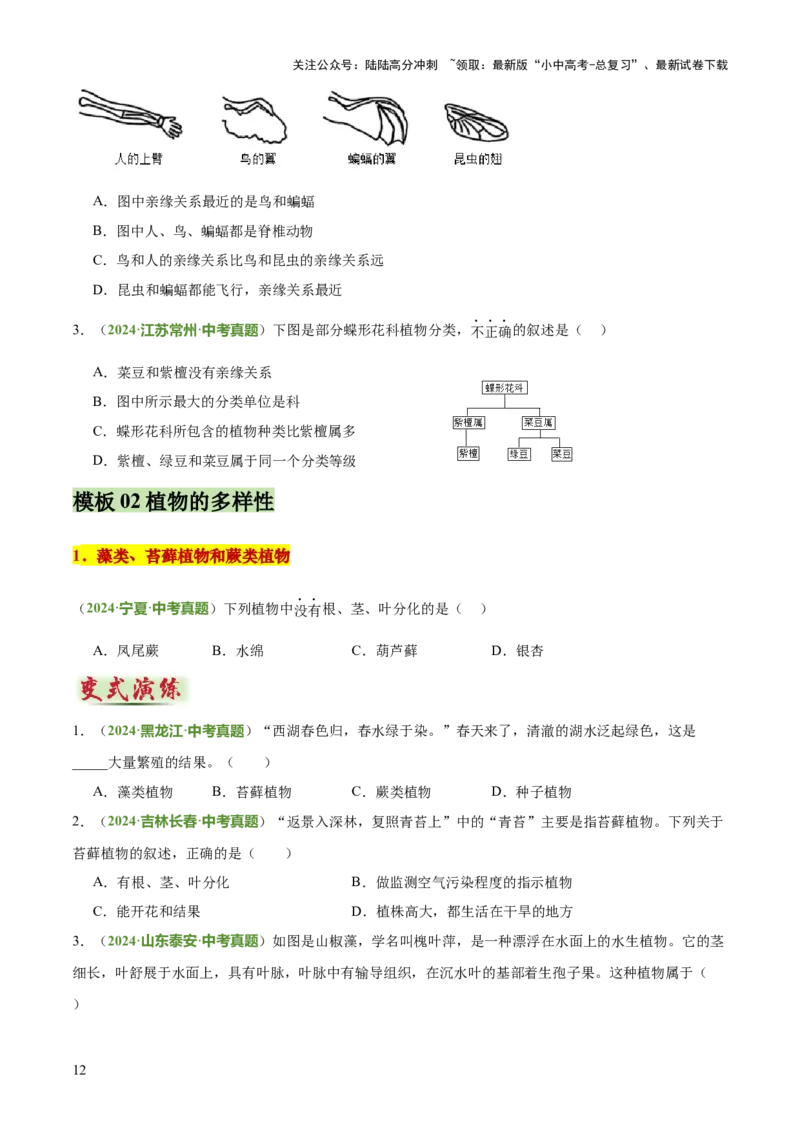 专题07生物的多样性（5大答题模板）（原卷版）_02中考总复习（2026版更新中）_08-生物-中考总复习_2025中考复习资料_2025年中考生物答题方法模板