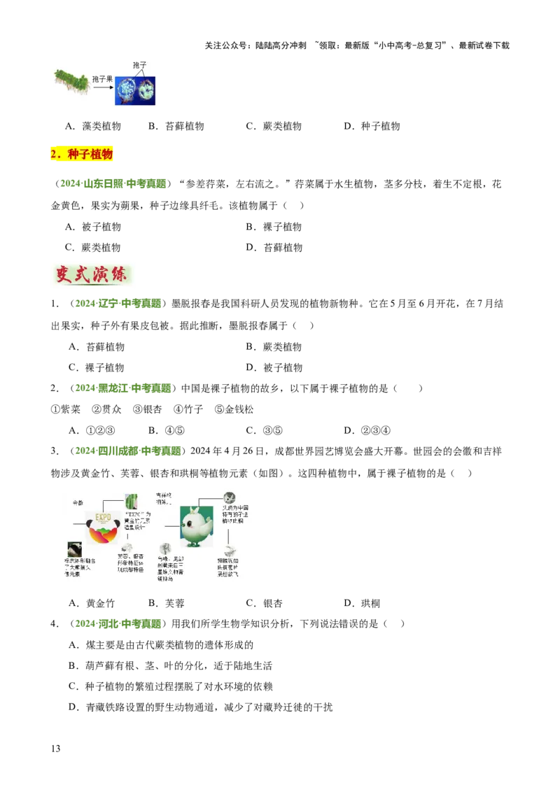 专题07生物的多样性（5大答题模板）（原卷版）_02中考总复习（2026版更新中）_08-生物-中考总复习_2025中考复习资料_2025年中考生物答题方法模板