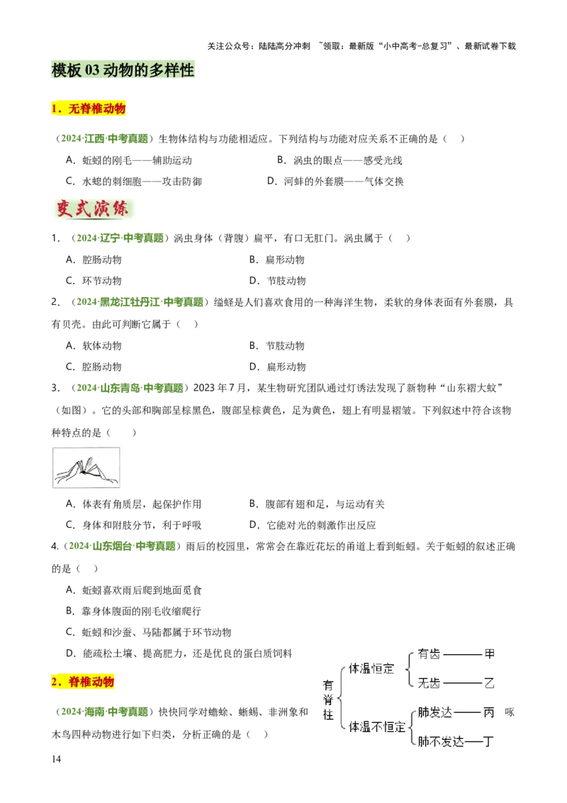 专题07生物的多样性（5大答题模板）（原卷版）_02中考总复习（2026版更新中）_08-生物-中考总复习_2025中考复习资料_2025年中考生物答题方法模板