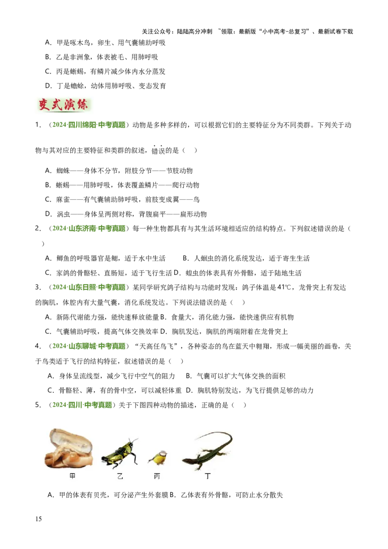 专题07生物的多样性（5大答题模板）（原卷版）_02中考总复习（2026版更新中）_08-生物-中考总复习_2025中考复习资料_2025年中考生物答题方法模板