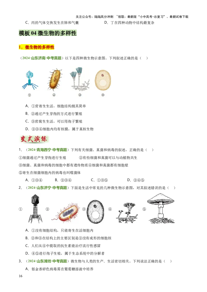 专题07生物的多样性（5大答题模板）（原卷版）_02中考总复习（2026版更新中）_08-生物-中考总复习_2025中考复习资料_2025年中考生物答题方法模板