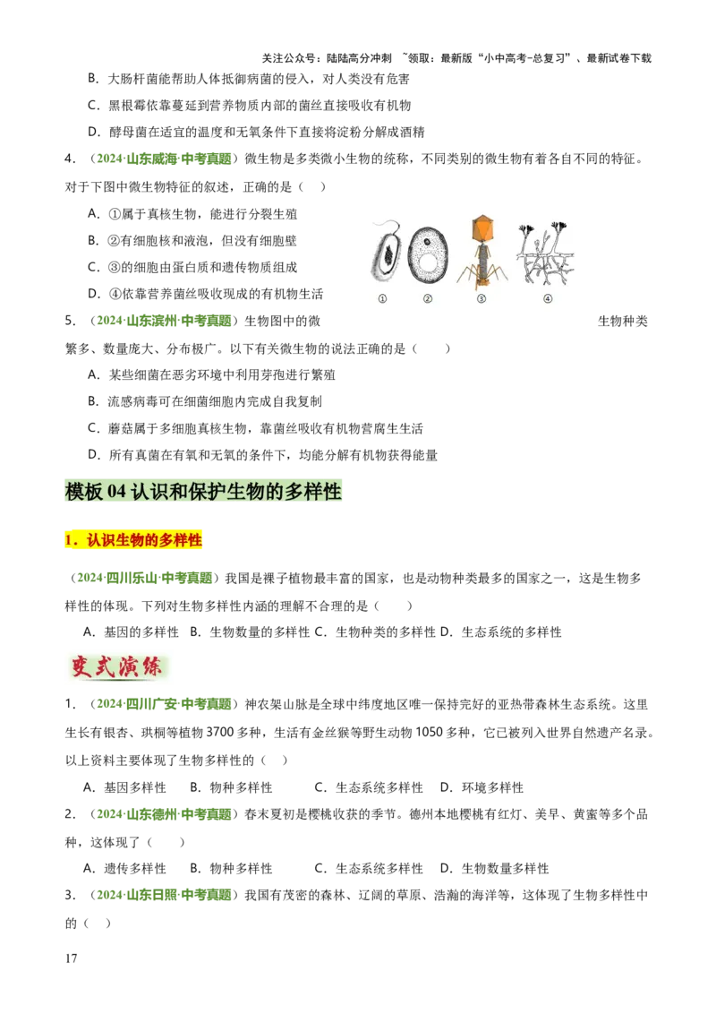 专题07生物的多样性（5大答题模板）（原卷版）_02中考总复习（2026版更新中）_08-生物-中考总复习_2025中考复习资料_2025年中考生物答题方法模板