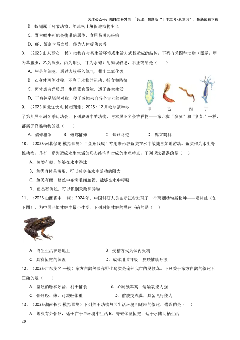 专题07生物的多样性（5大答题模板）（原卷版）_02中考总复习（2026版更新中）_08-生物-中考总复习_2025中考复习资料_2025年中考生物答题方法模板