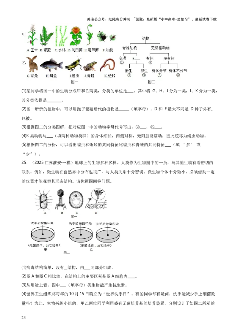 专题07生物的多样性（5大答题模板）（原卷版）_02中考总复习（2026版更新中）_08-生物-中考总复习_2025中考复习资料_2025年中考生物答题方法模板