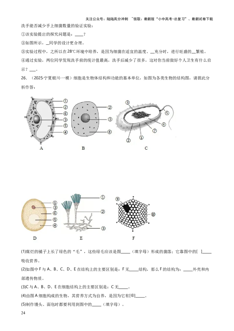 专题07生物的多样性（5大答题模板）（原卷版）_02中考总复习（2026版更新中）_08-生物-中考总复习_2025中考复习资料_2025年中考生物答题方法模板