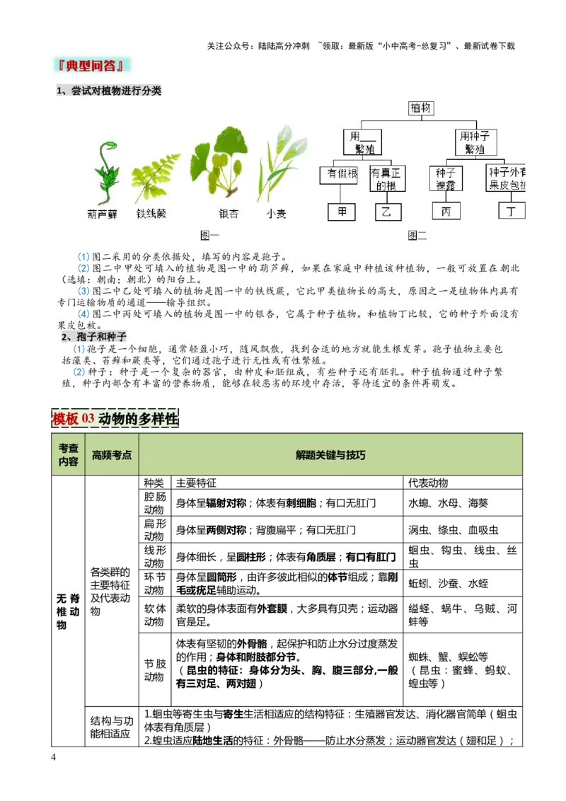 专题07生物的多样性（5大答题模板）（原卷版）_02中考总复习（2026版更新中）_08-生物-中考总复习_2025中考复习资料_2025年中考生物答题方法模板