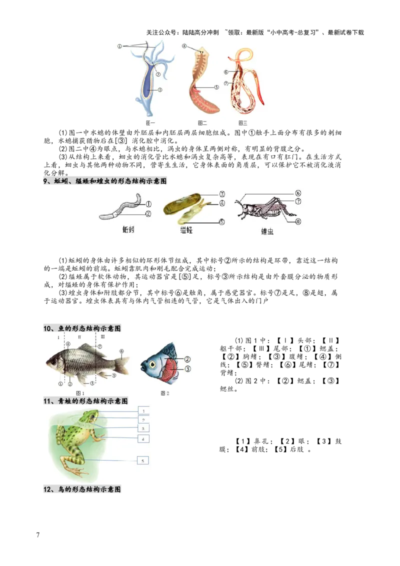 专题07生物的多样性（5大答题模板）（原卷版）_02中考总复习（2026版更新中）_08-生物-中考总复习_2025中考复习资料_2025年中考生物答题方法模板