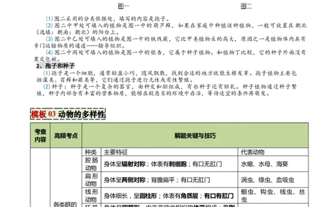 专题07生物的多样性（5大答题模板）（原卷版）_02中考总复习（2026版更新中）_08-生物-中考总复习_2025中考复习资料_2025年中考生物答题方法模板
