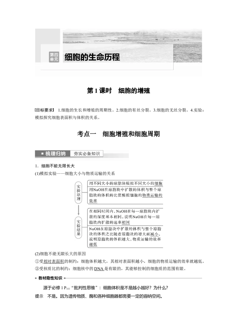 2023年高考生物一轮复习（全国版）第4单元第1课时　细胞的增殖_通用版（老高考）复习资料_2023年复习资料_一轮复习_2023年高考生物一轮复习讲义+课件（全国版）