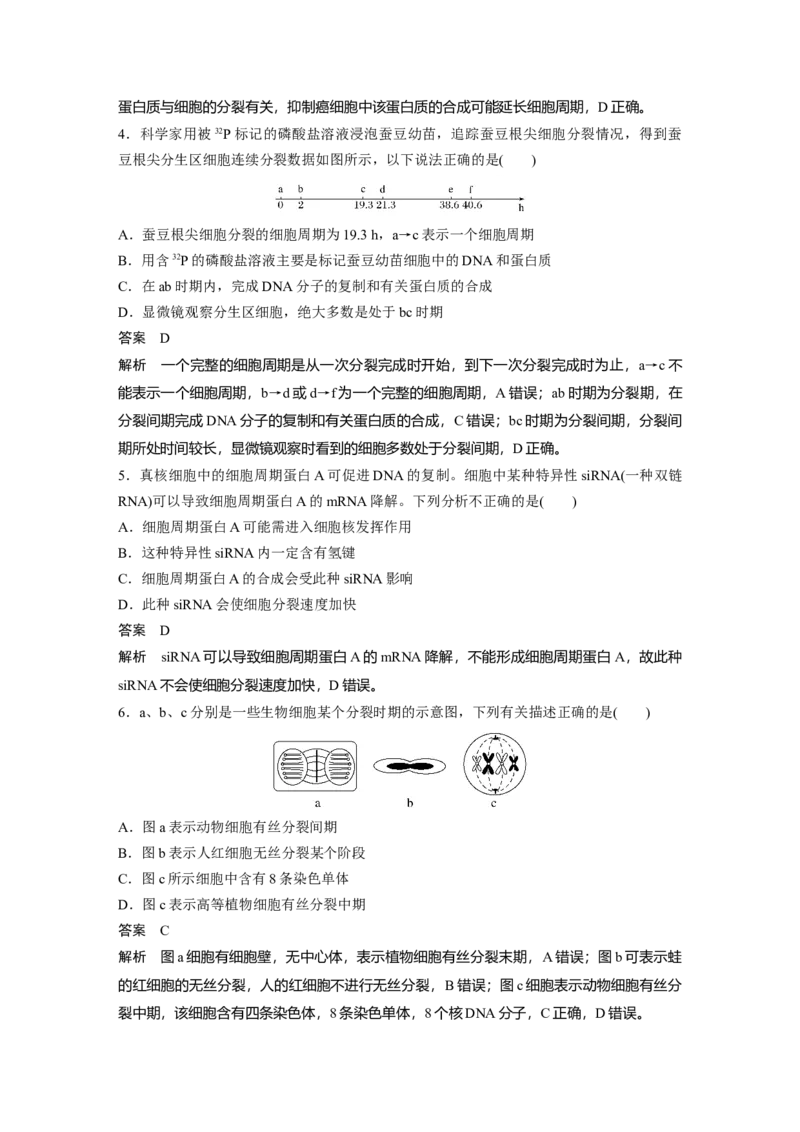 2023年高考生物一轮复习（全国版）第4单元第1课时　细胞的增殖_通用版（老高考）复习资料_2023年复习资料_一轮复习_2023年高考生物一轮复习讲义+课件（全国版）