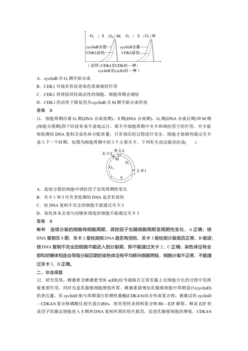 2023年高考生物一轮复习（全国版）第4单元第1课时　细胞的增殖_通用版（老高考）复习资料_2023年复习资料_一轮复习_2023年高考生物一轮复习讲义+课件（全国版）