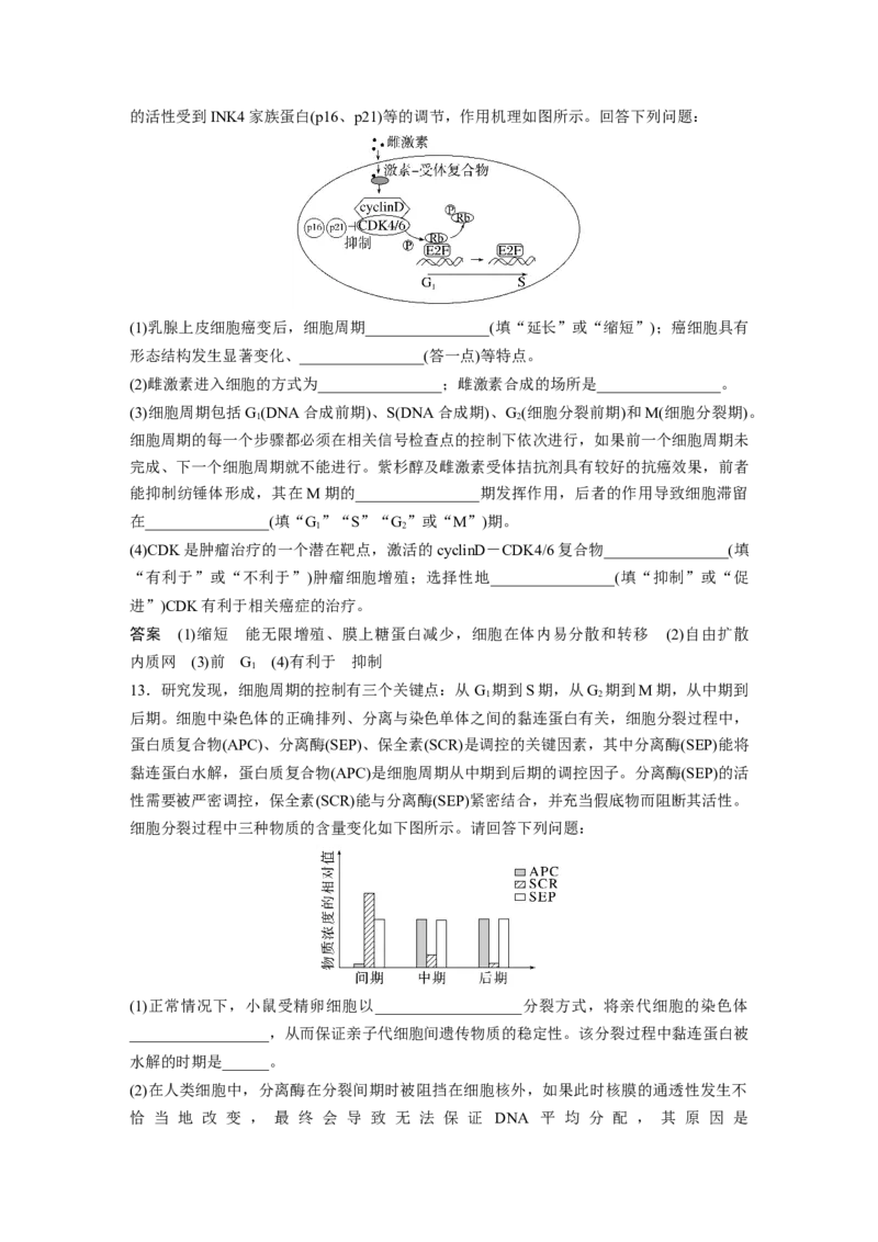 2023年高考生物一轮复习（全国版）第4单元第1课时　细胞的增殖_通用版（老高考）复习资料_2023年复习资料_一轮复习_2023年高考生物一轮复习讲义+课件（全国版）