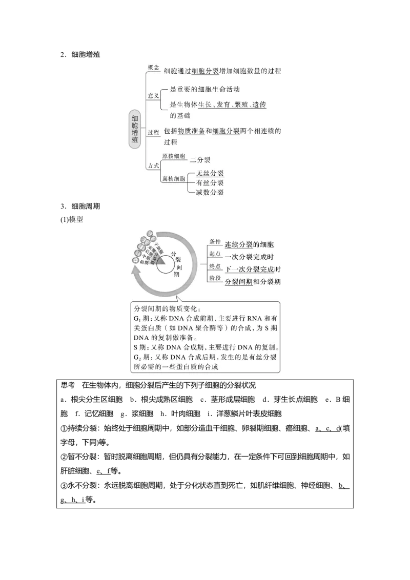 2023年高考生物一轮复习（全国版）第4单元第1课时　细胞的增殖_通用版（老高考）复习资料_2023年复习资料_一轮复习_2023年高考生物一轮复习讲义+课件（全国版）