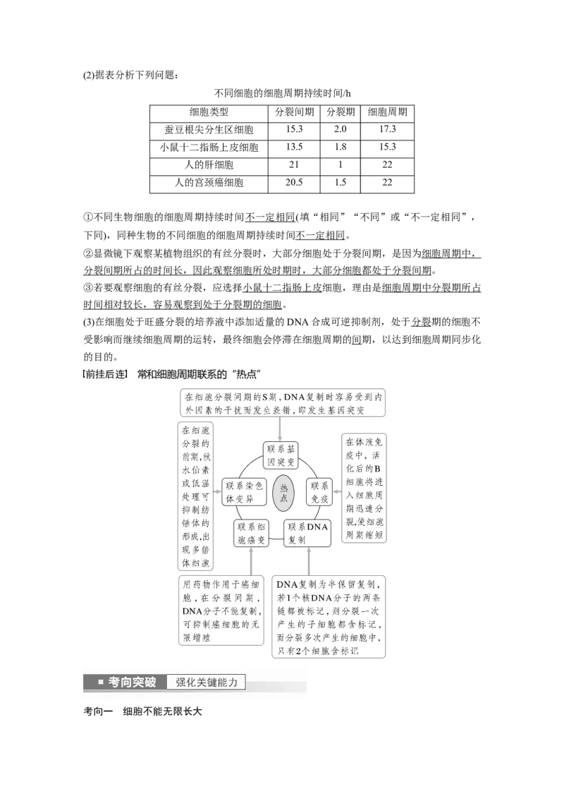2023年高考生物一轮复习（全国版）第4单元第1课时　细胞的增殖_通用版（老高考）复习资料_2023年复习资料_一轮复习_2023年高考生物一轮复习讲义+课件（全国版）