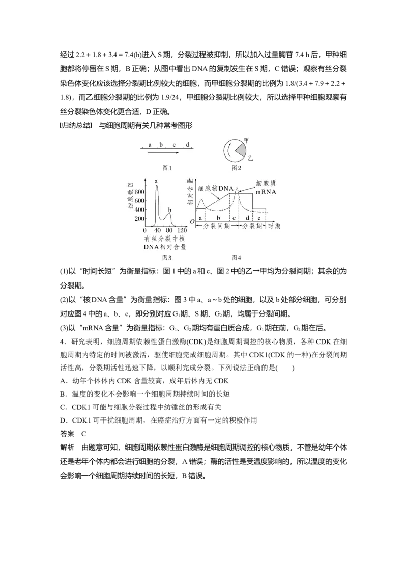 2023年高考生物一轮复习（全国版）第4单元第1课时　细胞的增殖_通用版（老高考）复习资料_2023年复习资料_一轮复习_2023年高考生物一轮复习讲义+课件（全国版）