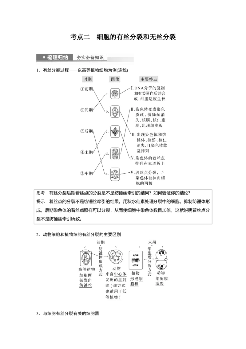 2023年高考生物一轮复习（全国版）第4单元第1课时　细胞的增殖_通用版（老高考）复习资料_2023年复习资料_一轮复习_2023年高考生物一轮复习讲义+课件（全国版）