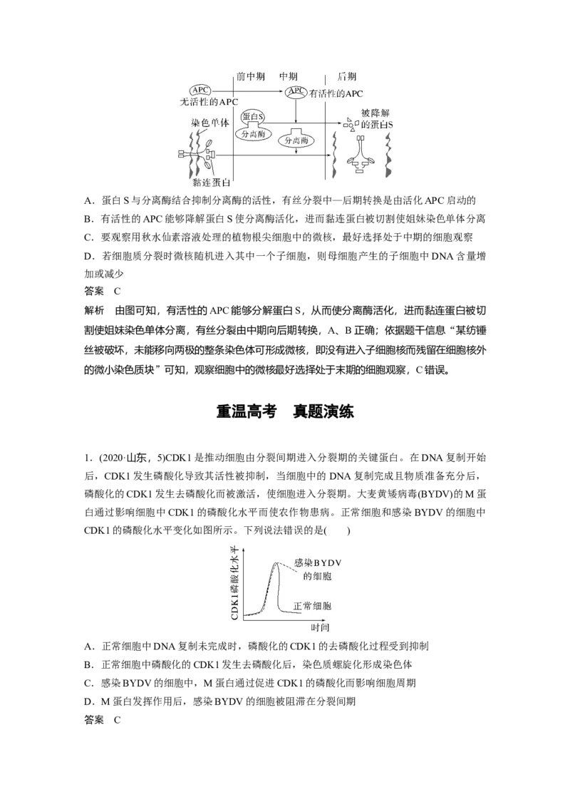 2023年高考生物一轮复习（全国版）第4单元第1课时　细胞的增殖_通用版（老高考）复习资料_2023年复习资料_一轮复习_2023年高考生物一轮复习讲义+课件（全国版）