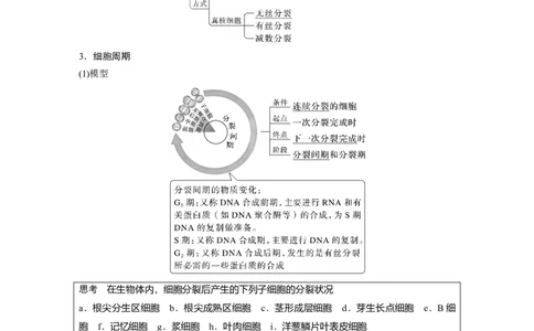 2023年高考生物一轮复习（全国版）第4单元第1课时　细胞的增殖_通用版（老高考）复习资料_2023年复习资料_一轮复习_2023年高考生物一轮复习讲义+课件（全国版）