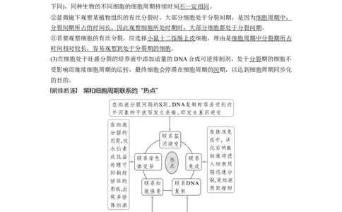 2023年高考生物一轮复习（全国版）第4单元第1课时　细胞的增殖_通用版（老高考）复习资料_2023年复习资料_一轮复习_2023年高考生物一轮复习讲义+课件（全国版）
