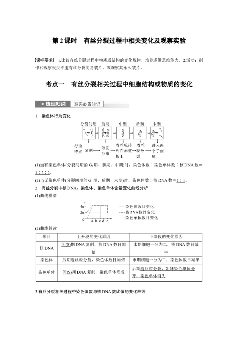 2023年高考生物一轮复习（新人教新高考）第4单元第2课时　有丝分裂过程中相关变化及观察实验_新高考复习资料_2023年新高考复习资料_一轮复习_2023年新高考大一轮复习讲义