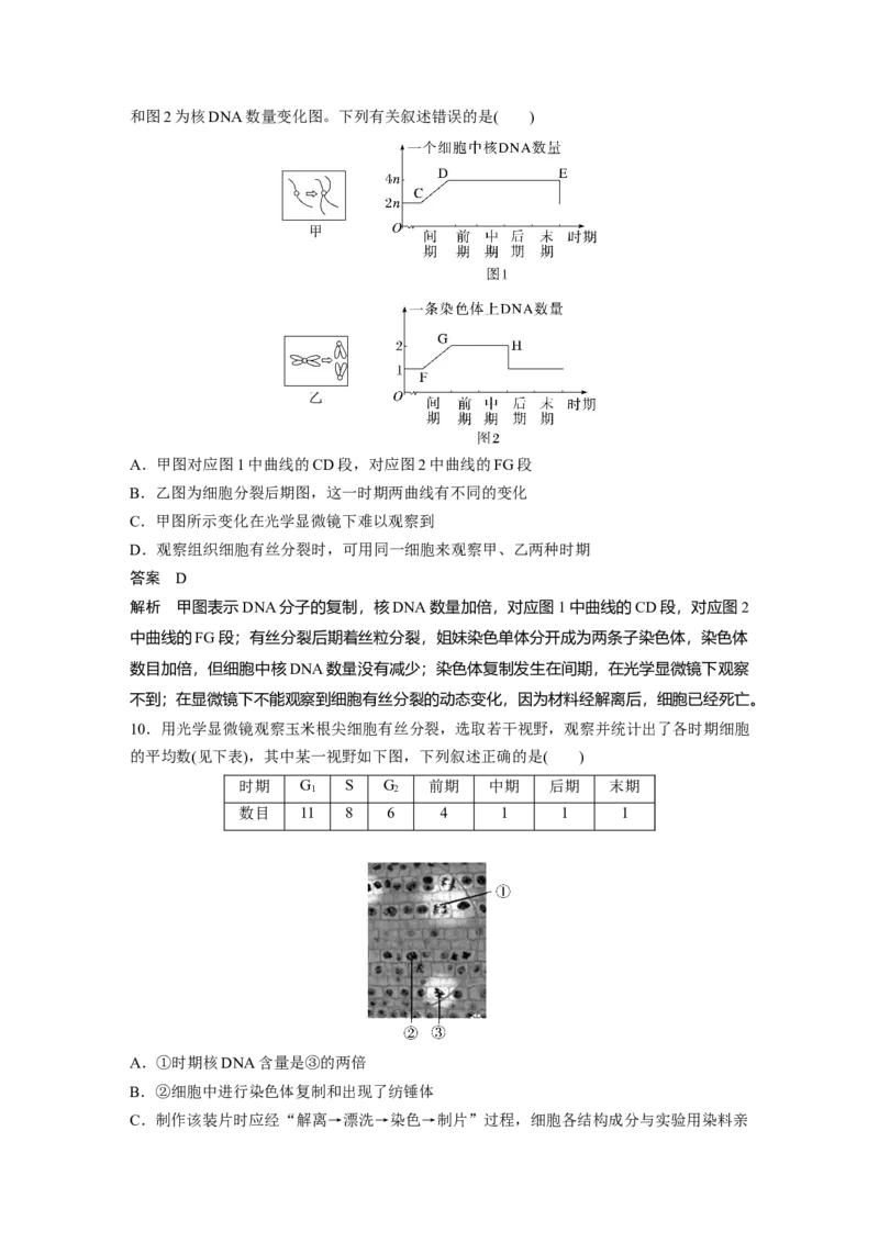 2023年高考生物一轮复习（新人教新高考）第4单元第2课时　有丝分裂过程中相关变化及观察实验_新高考复习资料_2023年新高考复习资料_一轮复习_2023年新高考大一轮复习讲义