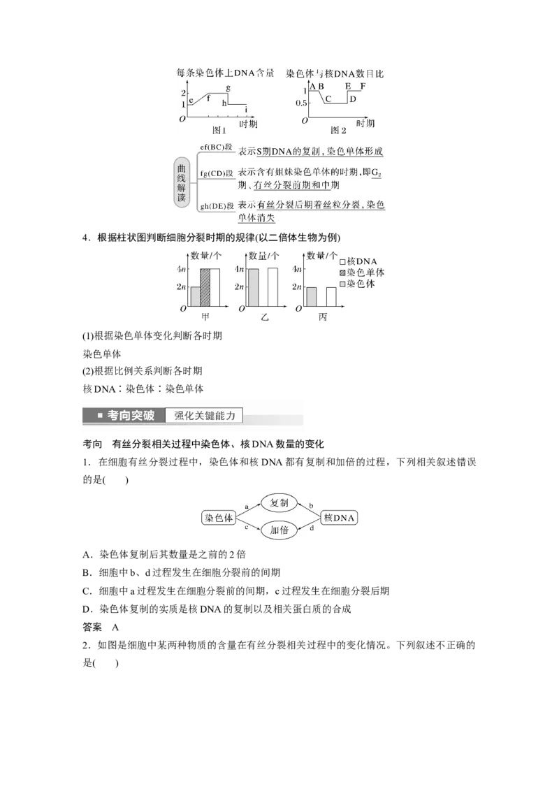 2023年高考生物一轮复习（新人教新高考）第4单元第2课时　有丝分裂过程中相关变化及观察实验_新高考复习资料_2023年新高考复习资料_一轮复习_2023年新高考大一轮复习讲义