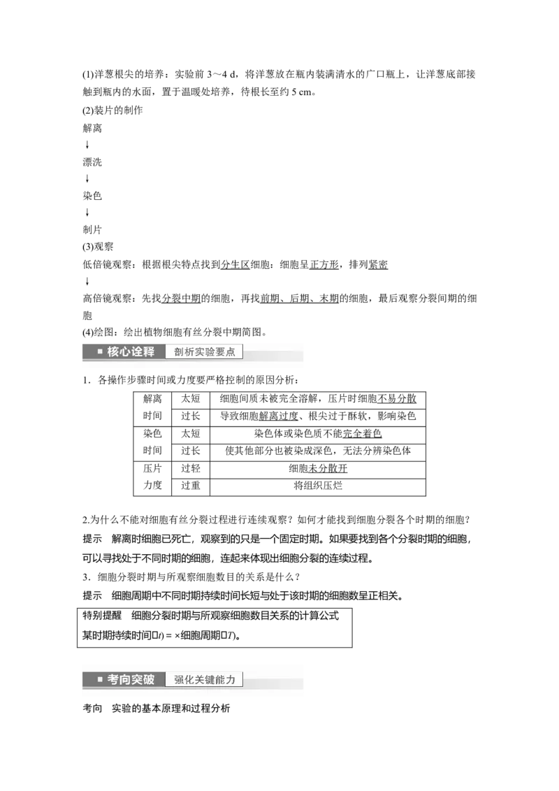2023年高考生物一轮复习（新人教新高考）第4单元第2课时　有丝分裂过程中相关变化及观察实验_新高考复习资料_2023年新高考复习资料_一轮复习_2023年新高考大一轮复习讲义