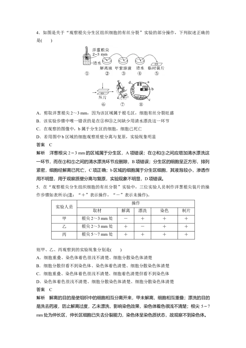 2023年高考生物一轮复习（新人教新高考）第4单元第2课时　有丝分裂过程中相关变化及观察实验_新高考复习资料_2023年新高考复习资料_一轮复习_2023年新高考大一轮复习讲义