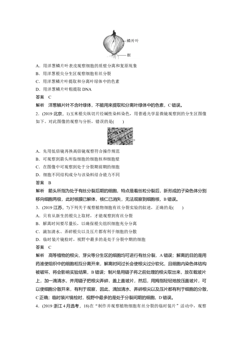 2023年高考生物一轮复习（新人教新高考）第4单元第2课时　有丝分裂过程中相关变化及观察实验_新高考复习资料_2023年新高考复习资料_一轮复习_2023年新高考大一轮复习讲义