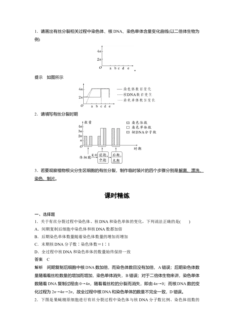 2023年高考生物一轮复习（新人教新高考）第4单元第2课时　有丝分裂过程中相关变化及观察实验_新高考复习资料_2023年新高考复习资料_一轮复习_2023年新高考大一轮复习讲义