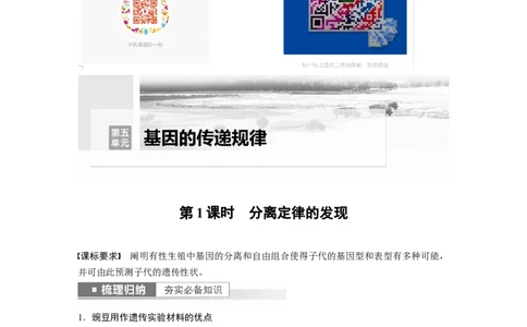 2023年高考生物一轮复习（新人教新高考）第5单元第1课时　分离定律的发现_新高考复习资料_2023年新高考复习资料_一轮复习_2023年新高考大一轮复习讲义