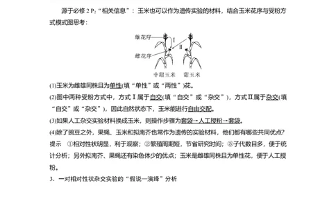 2023年高考生物一轮复习（新人教新高考）第5单元第1课时　分离定律的发现_新高考复习资料_2023年新高考复习资料_一轮复习_2023年新高考大一轮复习讲义