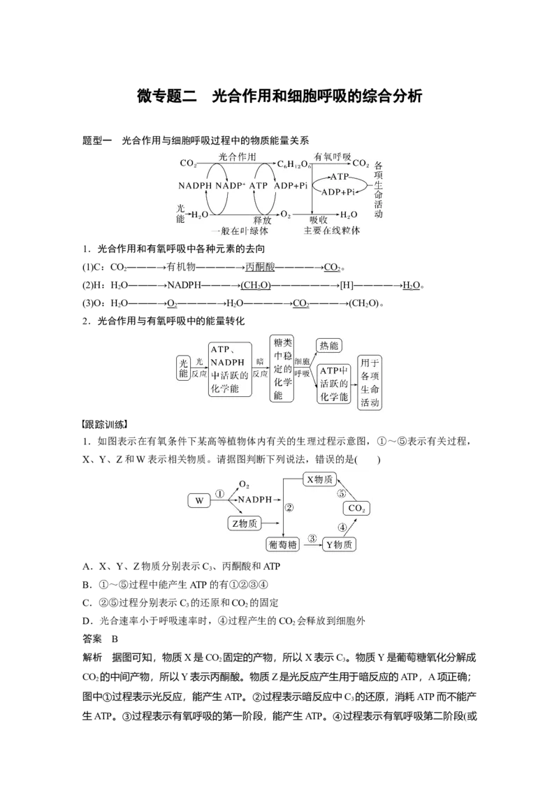 2023年高考生物一轮复习（新人教新高考）第3单元微专题二　光合作用和细胞呼吸的综合分析_新高考复习资料_2023年新高考复习资料_一轮复习_2023年新高考大一轮复习讲义