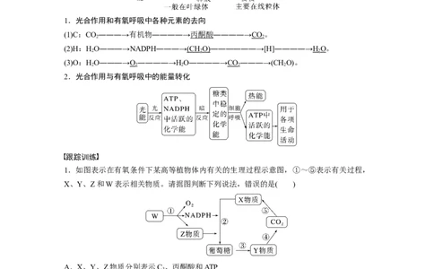 2023年高考生物一轮复习（新人教新高考）第3单元微专题二　光合作用和细胞呼吸的综合分析_新高考复习资料_2023年新高考复习资料_一轮复习_2023年新高考大一轮复习讲义