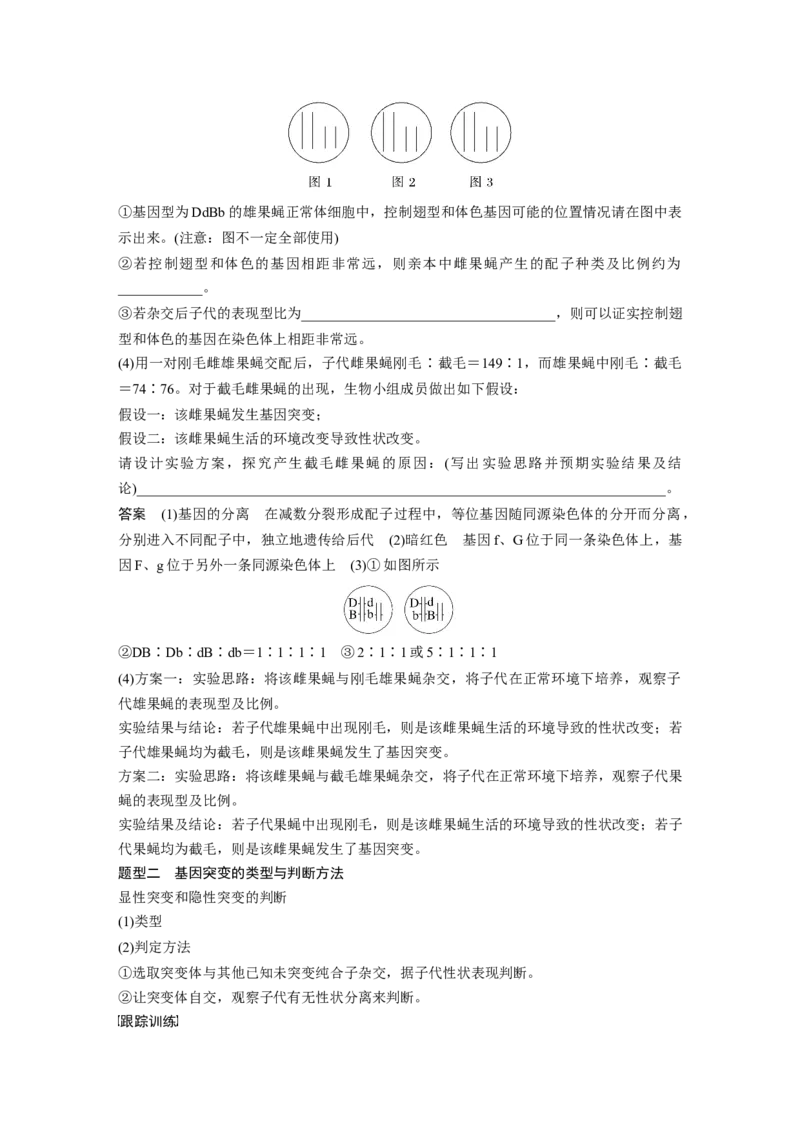 2023年高考生物一轮复习（全国版）第7单元微专题六　利用&ldquo;假说&mdash;演绎法&rdquo;解决生物变异实验探究题_通用版（老高考）复习资料_2023年复习资料_一轮复习