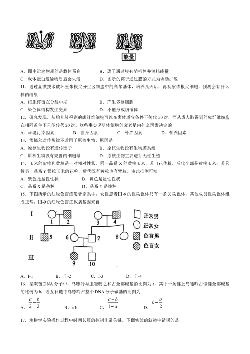2023届四川省德阳市高三上学期第一次诊断考试生物试题_生物高考模拟题_老高考_2023年