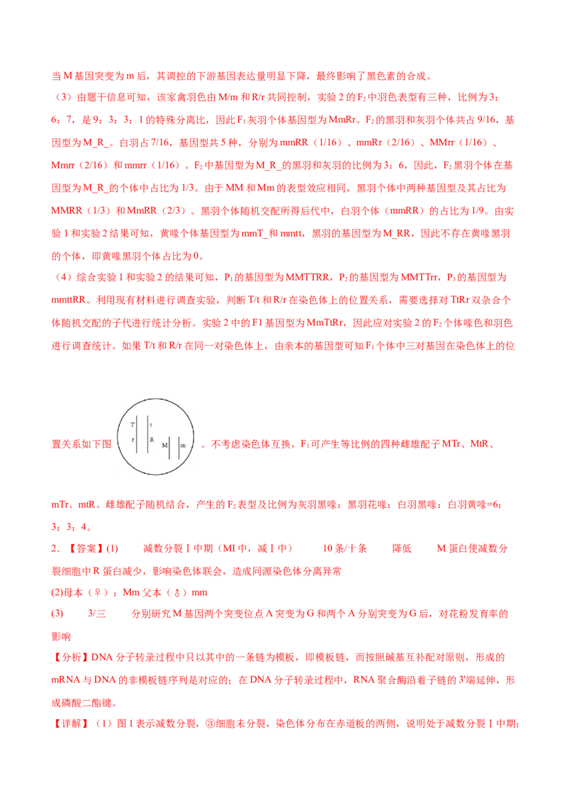 押新高考卷遗传与进化（解析版）-备战2024年高考生物临考题号押题（新高考通用）_2024年新高考资料_5.2024三轮冲刺_备战2024年高考生物临考题号押题（新高考通用）322745222_594